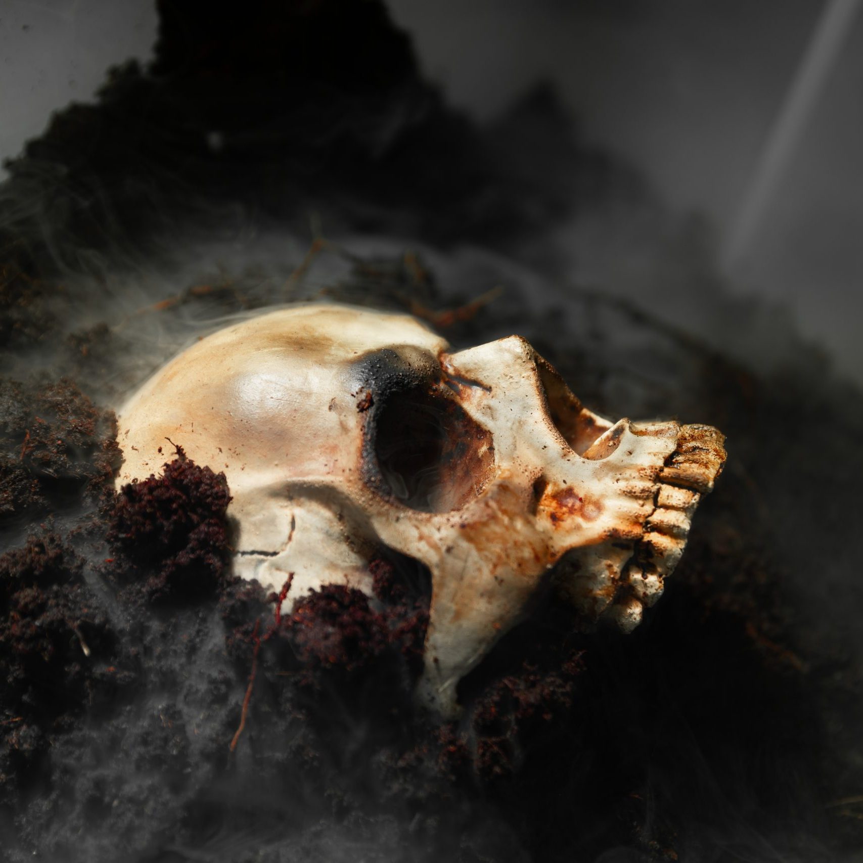 Skull of a dead man on the ground Human skull on the wet soild with smoke flowing closeup